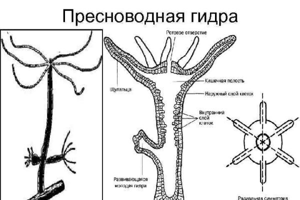 Onion сайт кракен